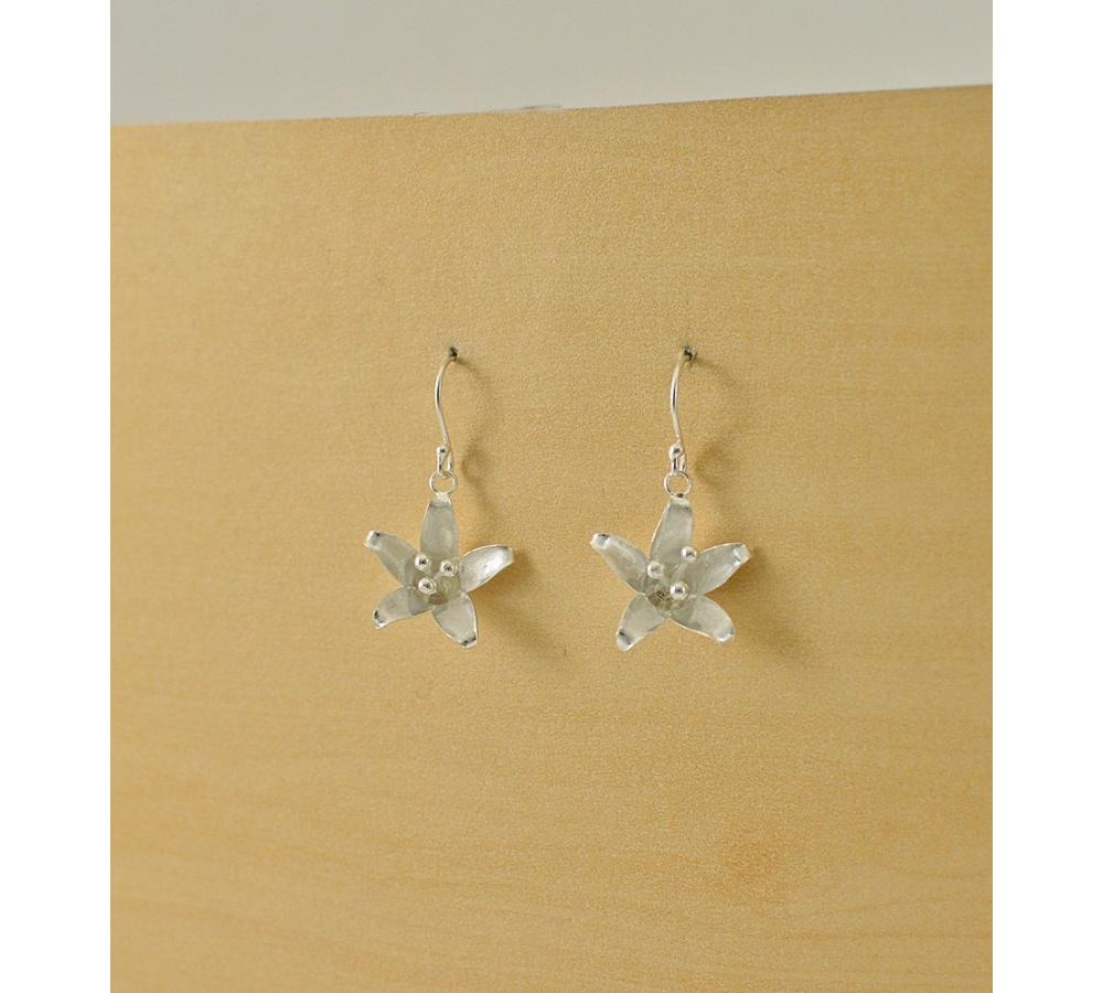 S0352 Plain Silver Earring