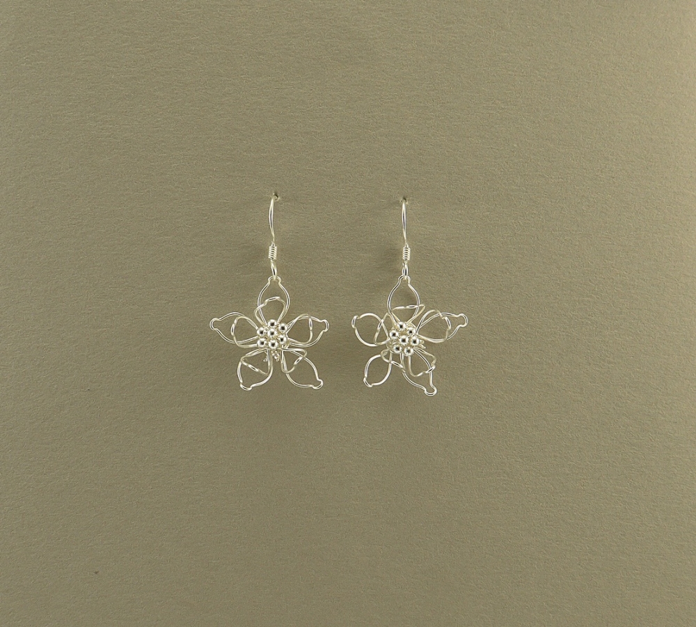 S0261 Silver Earring