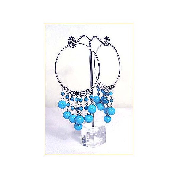 E0048 Turquoise Earring