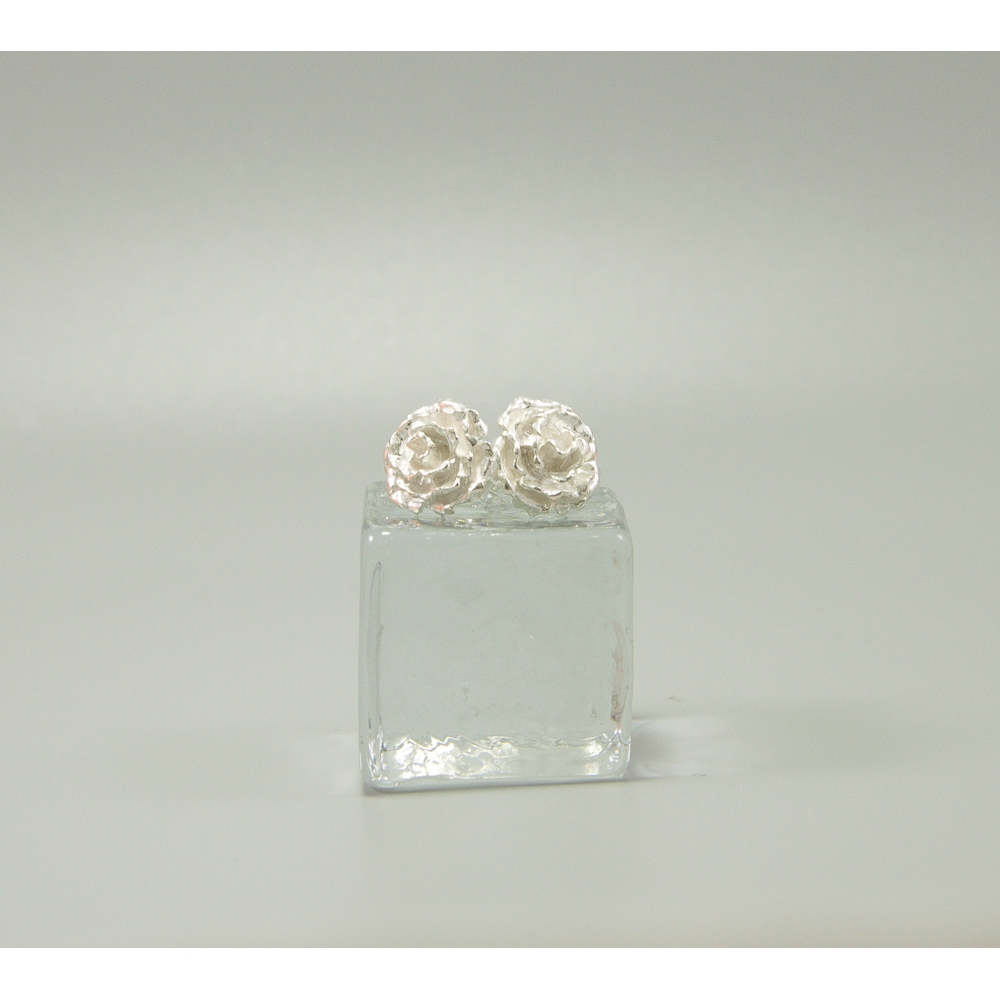 S0409 Plain Silver Earring