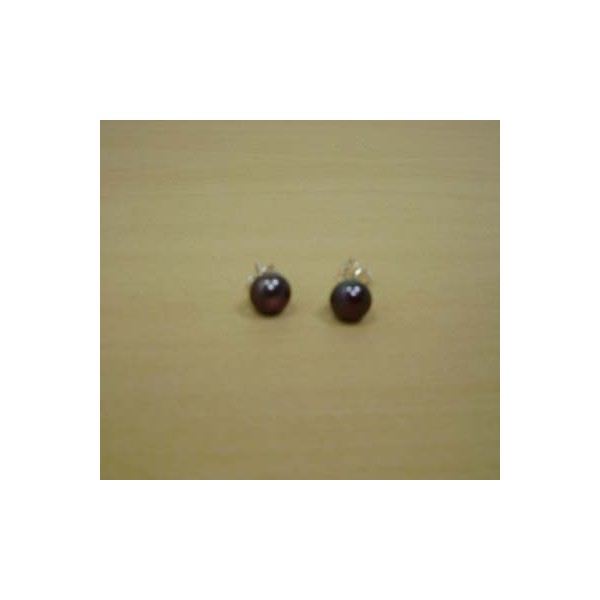E0366 Amethyst Earring